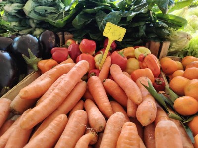 WhatsApp Image 2025-11-14 at 09.23.31.jpeg